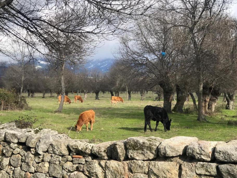 Guadarrama, Atico Nuevo Con Espectaculares Vistas Apartment Exterior foto