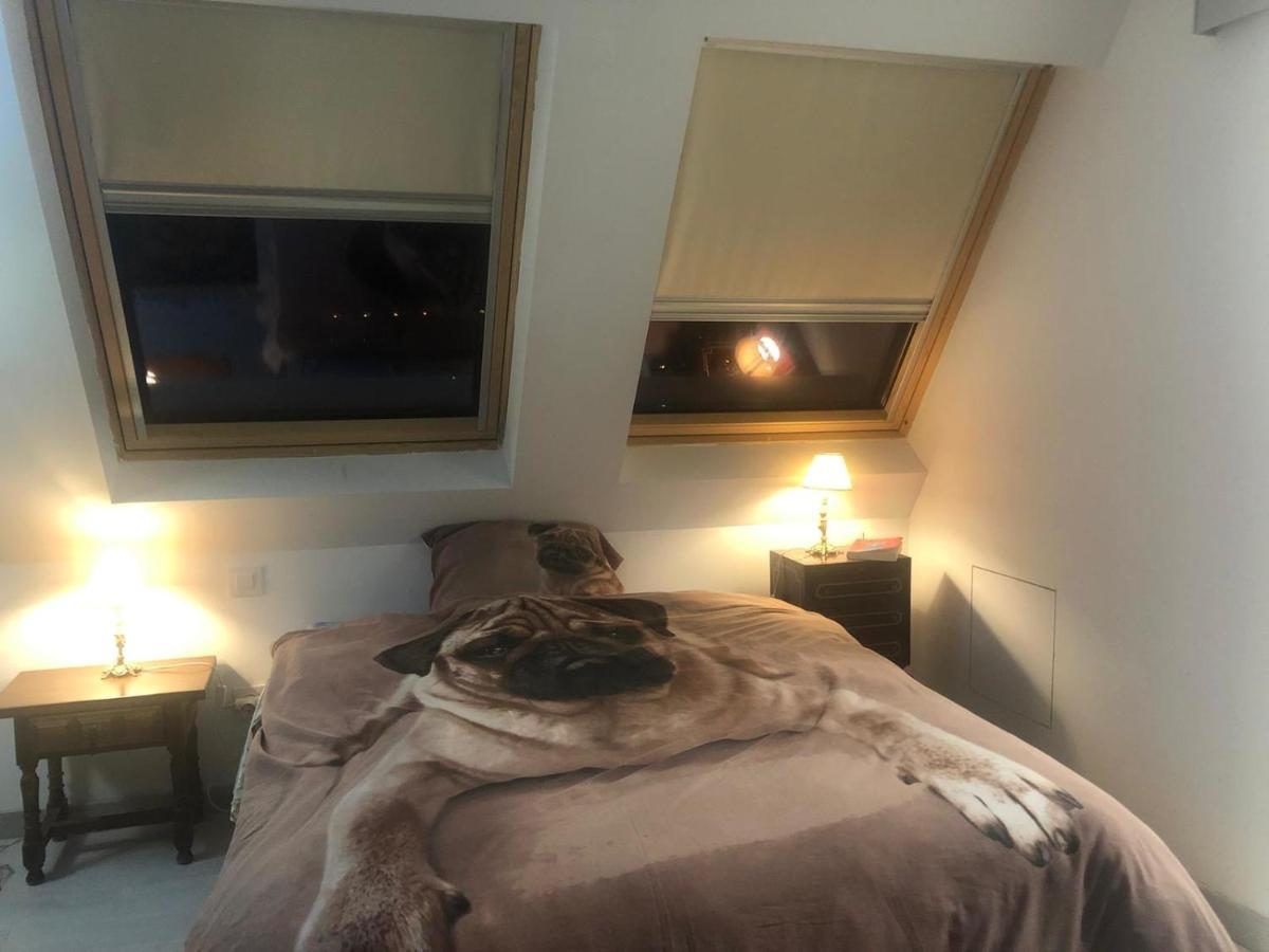 Guadarrama, Atico Nuevo Con Espectaculares Vistas Apartment Exterior foto